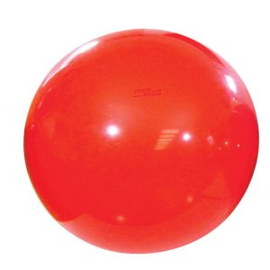 School Specialty 1513466_Gymnic Physio Therapy Ball