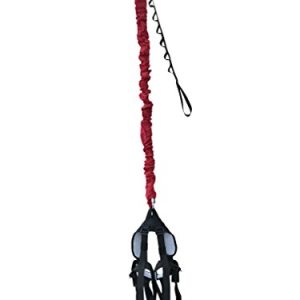 Bungee Cord