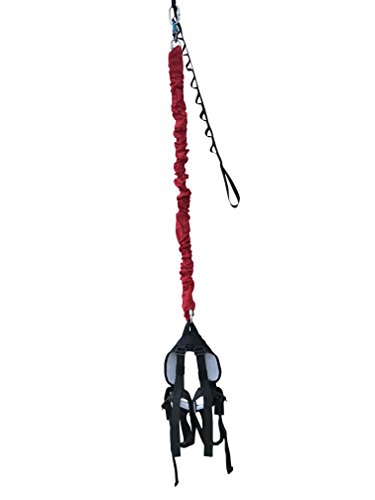 Bungee Cord